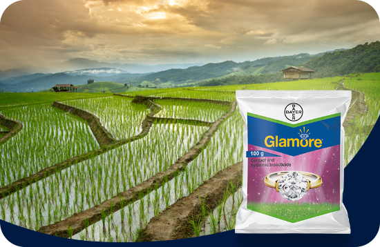 Glamore-features-benefits