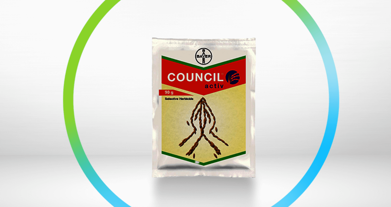 COUNCIL-activ-banner