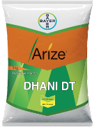 Arize-Dhani-DT