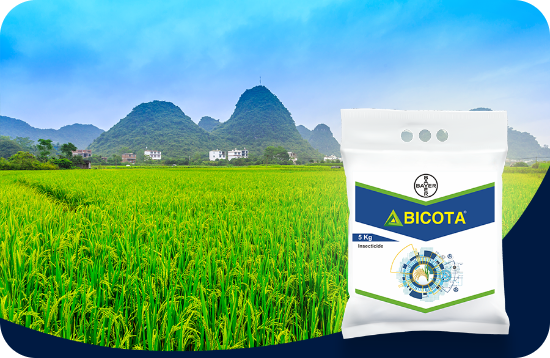 bicota feature benefits