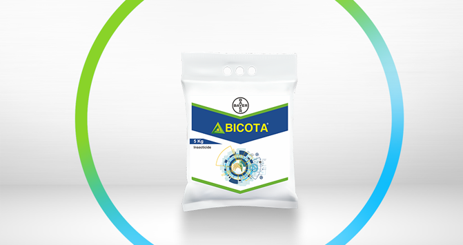 bicota slide 2